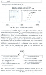 ПЦР в реальном времени - Фото 13