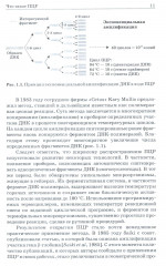 ПЦР в реальном времени - Фото 15