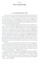 ПЦР в реальном времени - Фото 16