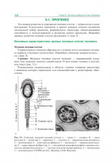 Гистология, эмбриология и цитология - Фото 11