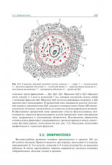 Гистология, эмбриология и цитология - Фото 14