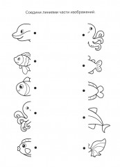 Подводный мир - Фото 5