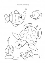 Подводный мир - Фото 8