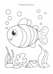 Подводный мир - Фото 16