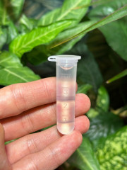 Виталайзер для растений «Дайхосаку» - Фото 1