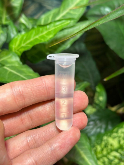 Виталайзер для растений «Дайхосаку»