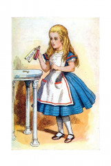 Алиса в Стране чудес. Алиса в Зазеркалье - Фото 4