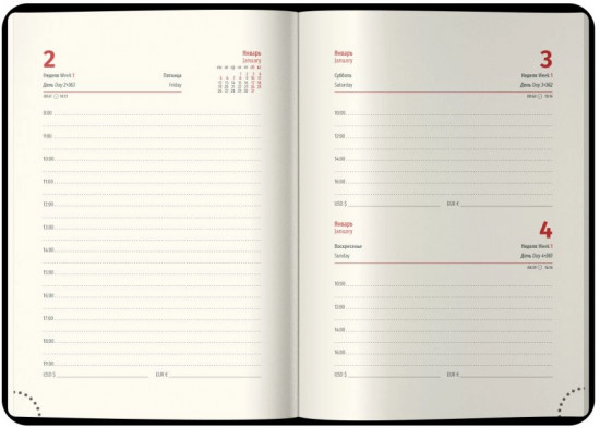 Ежедневник датированный на 2026 год
