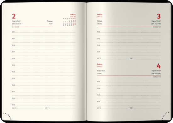 Ежедневник датированный на 2026 год