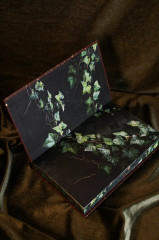 Библиотека теней - Фото 13