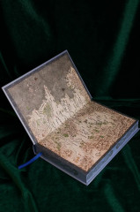 Последнее желание - Фото 8