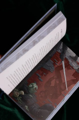 Последнее желание - Фото 10