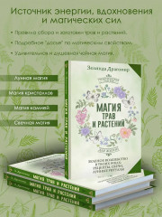 Магия трав и растений. Зелёное волшебство в твоих руках. Рецепты, свечи, лунные ритуалы - Фото 4