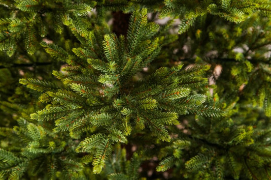 Ель искусственная «Королевская Премиум Full Pe»