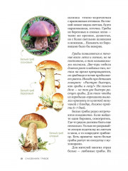 Цезарь и его мухомор. Истории из жизни грибов - Фото 3