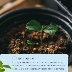 Инструмент для изготовления бумажных горшков для рассады - Фото 4