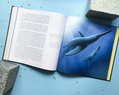 История Земли: от звездной пыли к звездной пыли - Фото 2