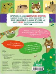 Большая книга с окошками. Животные - Фото 6