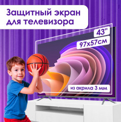 Защитный экран для телевизора 43" - Фото 1
