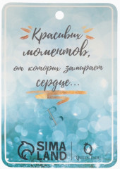 Брошь «Черепаха» - Фото 4