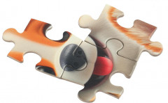 Пазл «Корги и милые друзья» - Фото 2