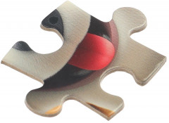 Пазл «Корги и милые друзья» - Фото 3