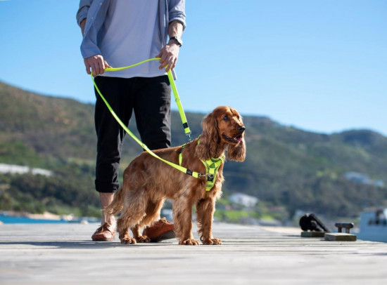 Поводок-перестежка для собак