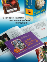 Карты таро урчащих котиков с добрыми предсказаниями «У меня лапки» - Фото 6