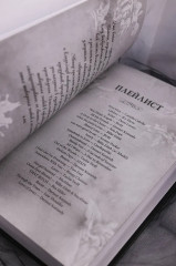 Коварная ложь - Фото 8