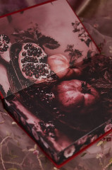 Коварная ложь - Фото 10