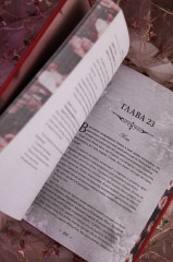 Коварная ложь - Фото 14