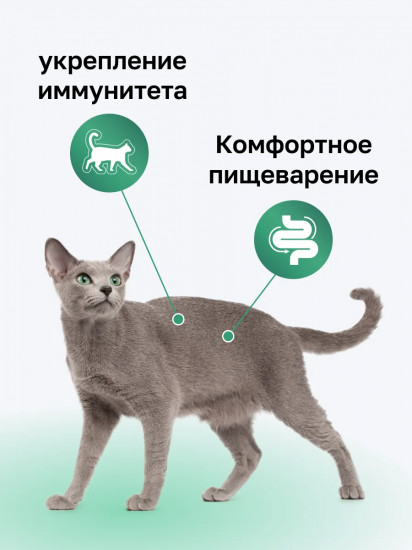 Набор паучей для кошек «Суп с курицей, овощами и рисом»