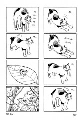 Кот-с-коготок - Фото 4