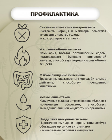 Таблетки «Фитослим Табс»