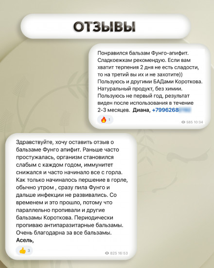 Бальзам «Фунго-апифит»