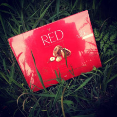 Конфеты с ореховой начинкой - Фото 8