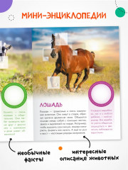 Кто живёт в деревне? - Фото 2