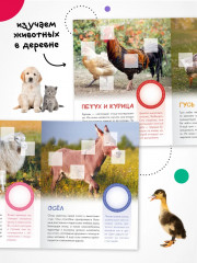 Кто живёт в деревне? - Фото 3