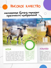 Кто живёт в деревне? - Фото 5