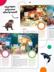 Кто живёт под водой? - Фото 3