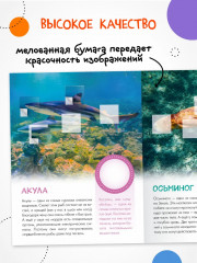 Кто живёт под водой? - Фото 5