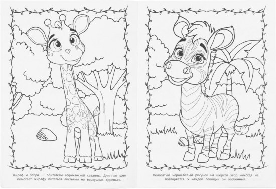 Раскраска «Животные жарких стран»