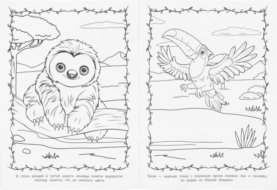 Раскраска «Животные жарких стран»