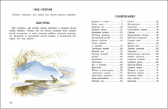 Беличья память - Фото 4