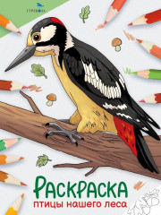 Раскраска «Птицы нашего леса» - Фото 1