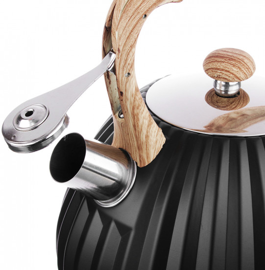 Чайник «Винзен»