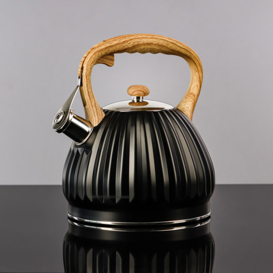 Чайник «Винзен»