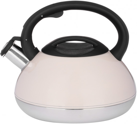 Чайник «Роншан»