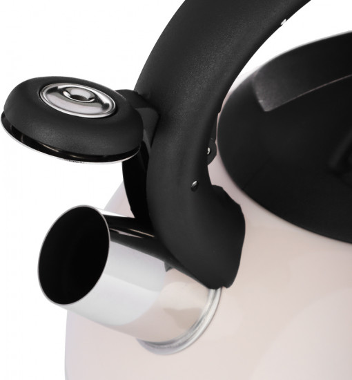 Чайник «Роншан»