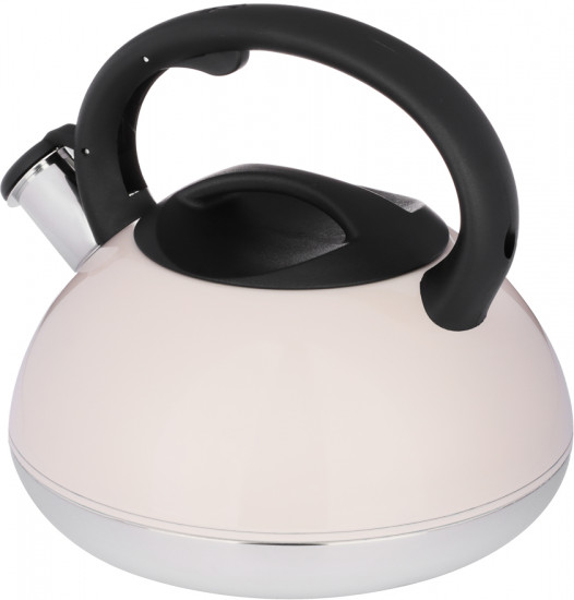 Чайник «Роншан»